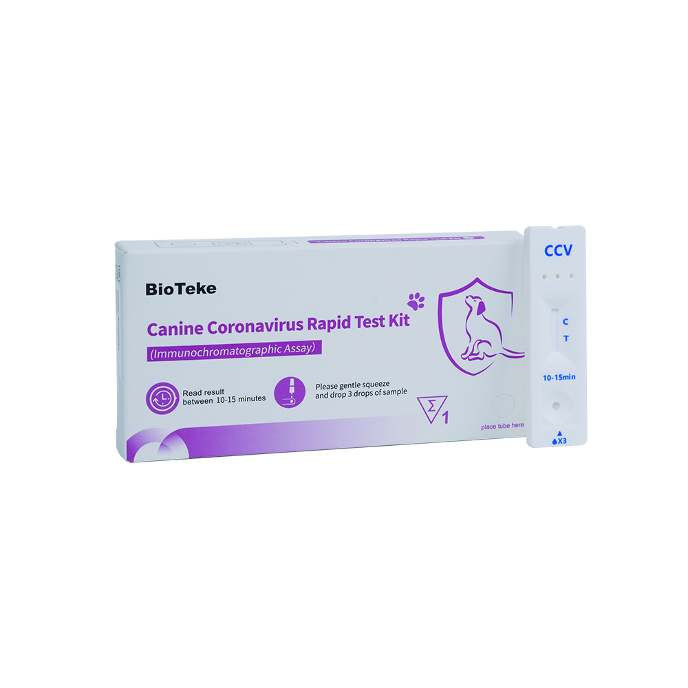 CCV Rapid Test