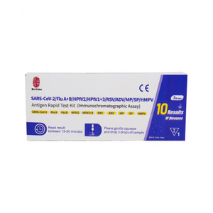 Respiratory 10 v 1 SARS-CoV-2/chřipka A+B/HPIV2/HPIV1+3/RSV/ADV/MP/SP/HMPV Antigen Rapid Test Kit