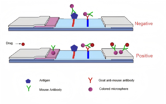 princip testu na drogy v moči