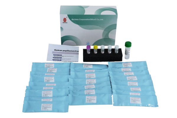 Detekční sada pro detekci genotypizace lidského papilomaviru (metoda fluorescence PCR) 