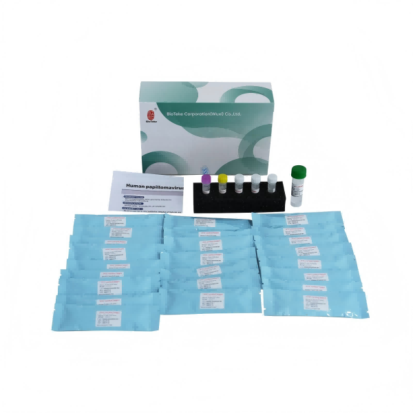 Kit genotypingu HPV